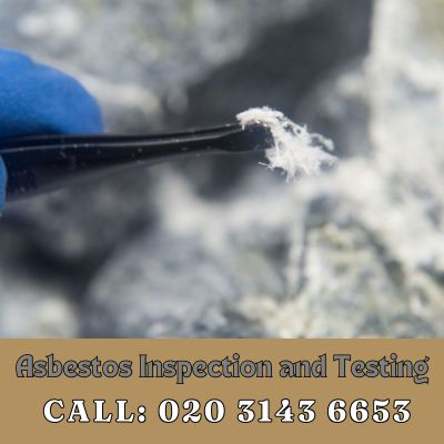 Comprehensive Asbestos Inspection and Testing Services in Greenhithe